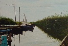 Albufera I
